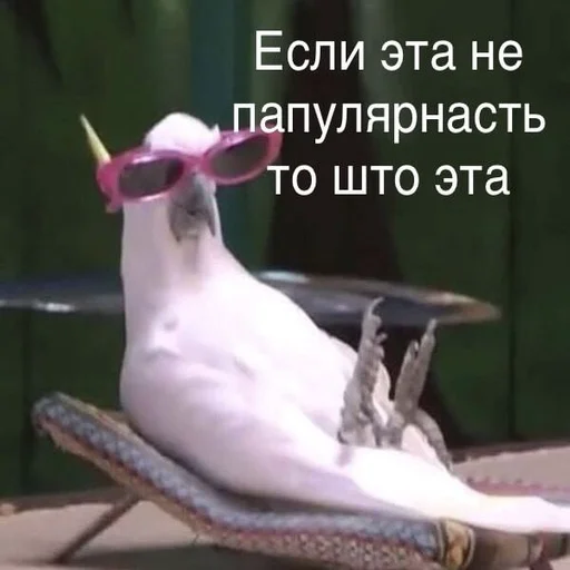 😁 Стикер «Жизень» для Telegram