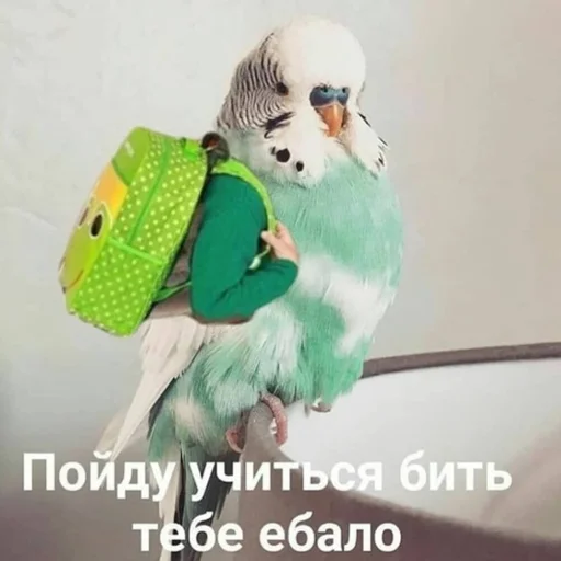 🤗 Стикер «Жизень» для Telegram