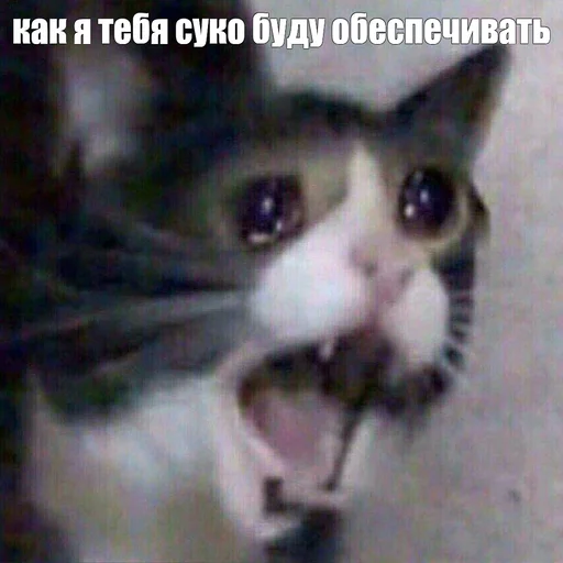 😫 Стикер «Жизень» для Telegram