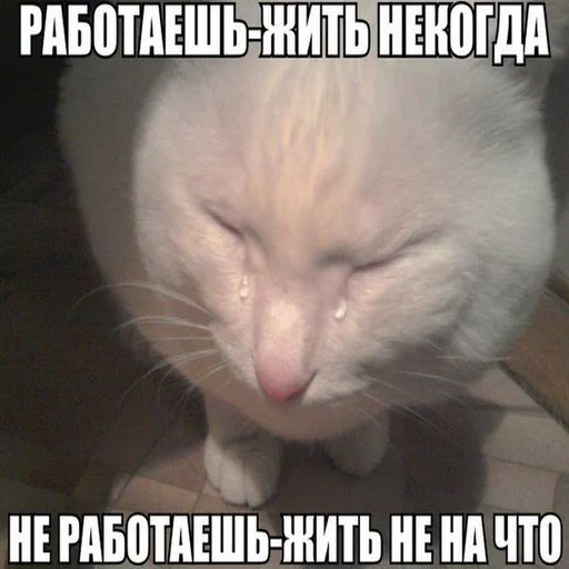 😞 Стикер «Жизень» для Telegram