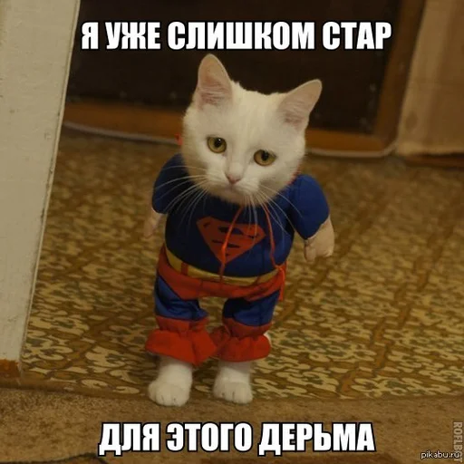 🙄 Стикер «Жизень» для Telegram