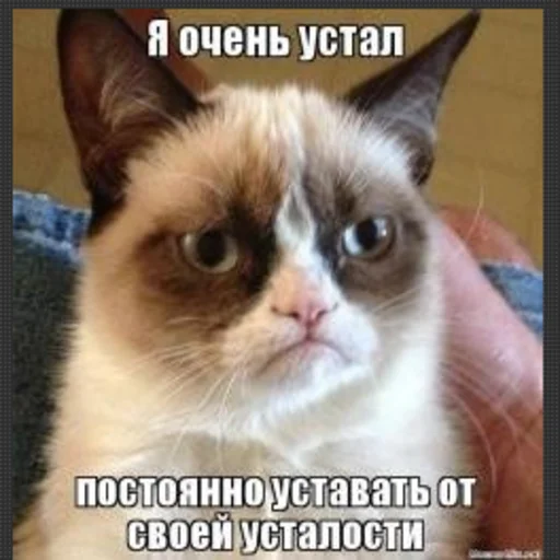 ☹️ Стикер «Жизень» для Telegram