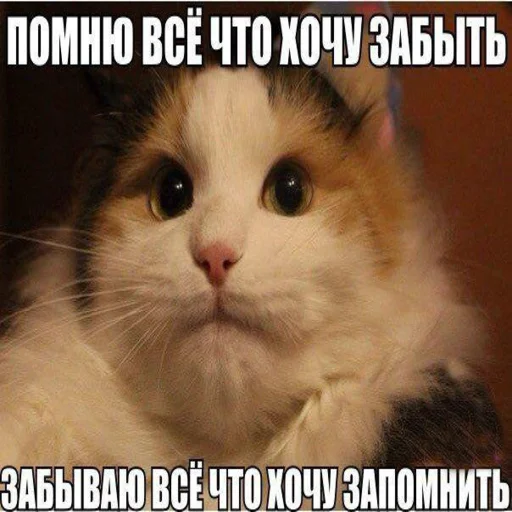 😐 Стикер «Жизень» для Telegram