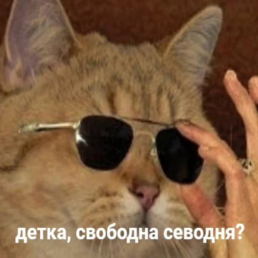 😎 Стикер «Жизень» для Telegram