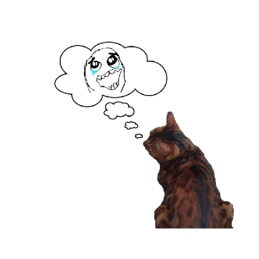 😭 Стикер «Котик лексус» для Telegram