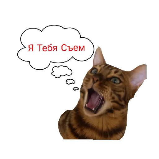 😤 Стикер «Котик лексус» для Telegram