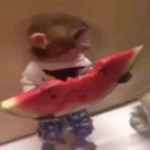 🍉 Стикер «Милые животные» для Telegram