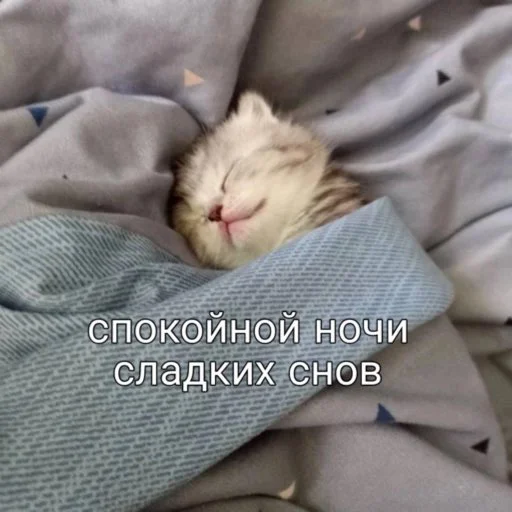 🛏️ Стикер «мы» для Telegram