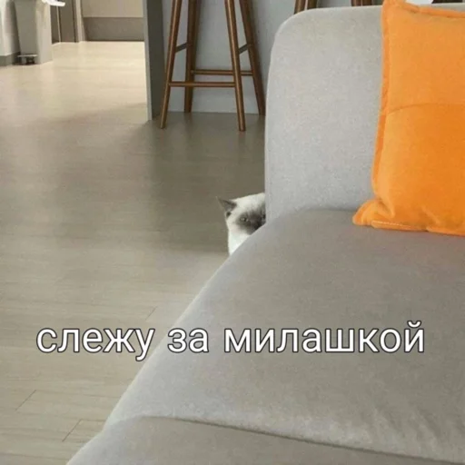 😍 Стикер «мы» для Telegram