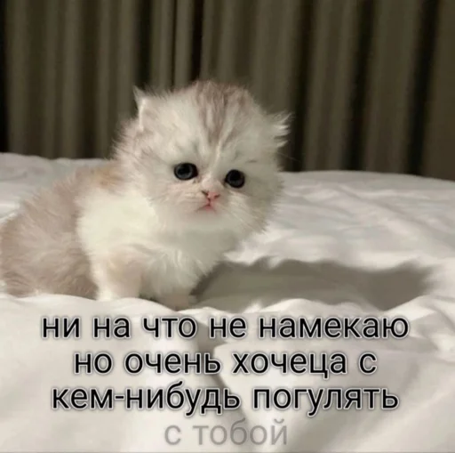 😊 Стикер «мы» для Telegram