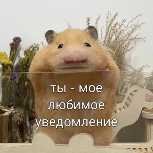 🐹 Стикер «мы» для Telegram