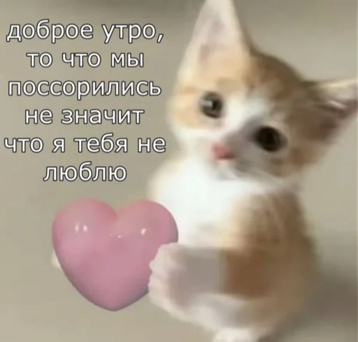🤍 Стикер «мы» для Telegram