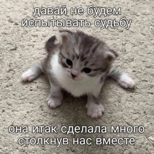 🫢 Стикер «мы» для Telegram