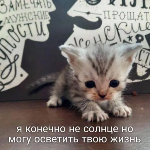 🔯 Стикер «мы» для Telegram