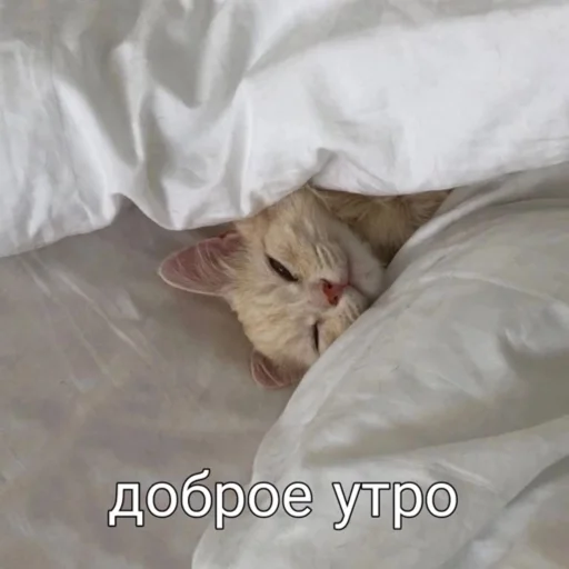 ☺️ Стикер «мы» для Telegram