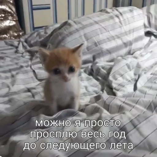 🤨 Стикер «мы» для Telegram