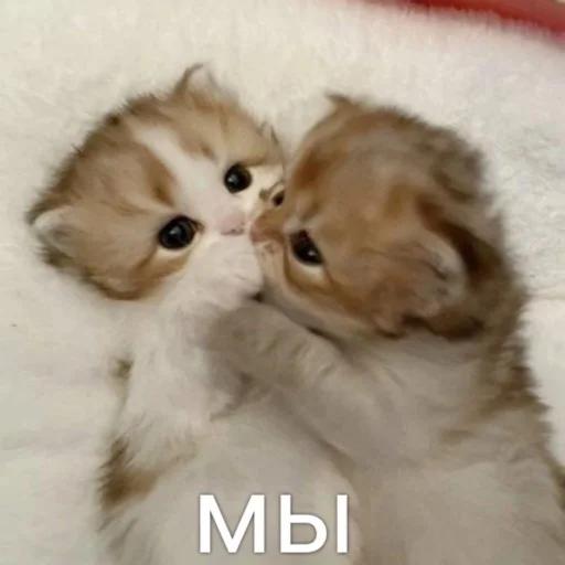😘 Стикер «мы» для Telegram