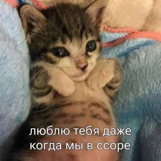 🥺 Стикер «мы» для Telegram