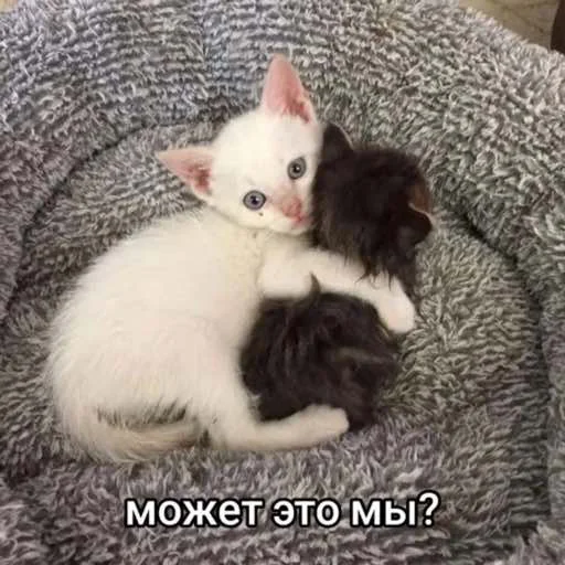 🤗 Стикер «мы» для Telegram