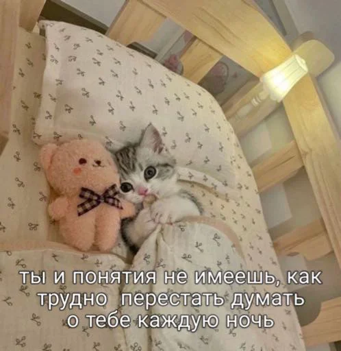 💕 Стикер «мы» для Telegram