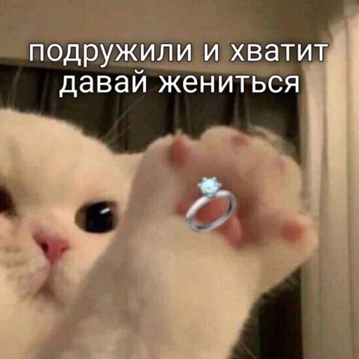 💍 Стикер «мы» для Telegram