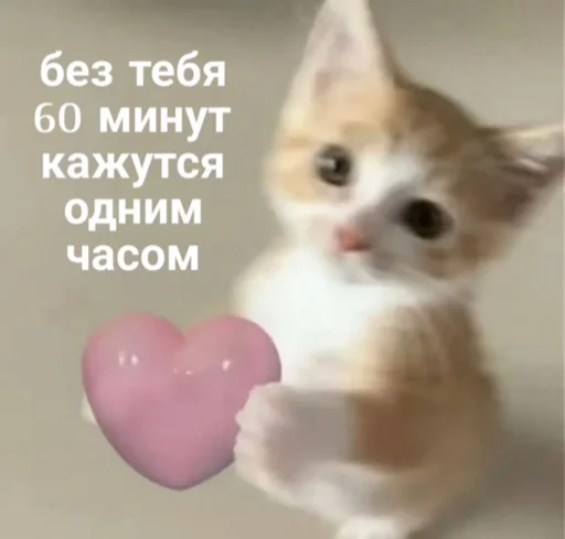 😶‍🌫️ Стикер «мы» для Telegram