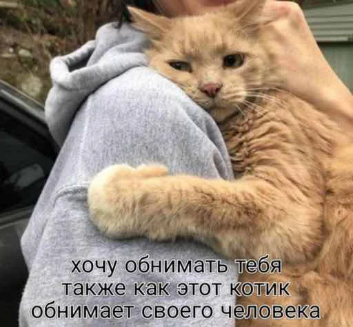 🥰 Стикер «мы» для Telegram