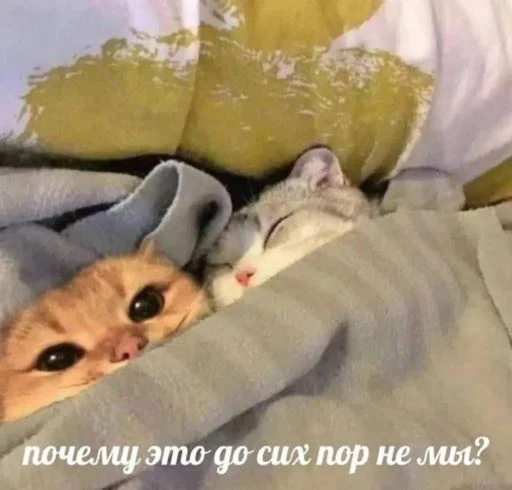 🤓 Стикер «мы» для Telegram