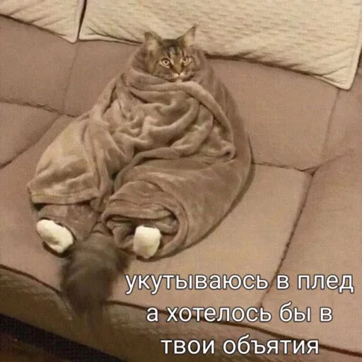😭 Стикер «мы» для Telegram