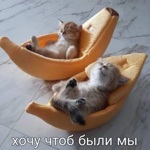 ❤️‍🩹 Стикер «мы» для Telegram