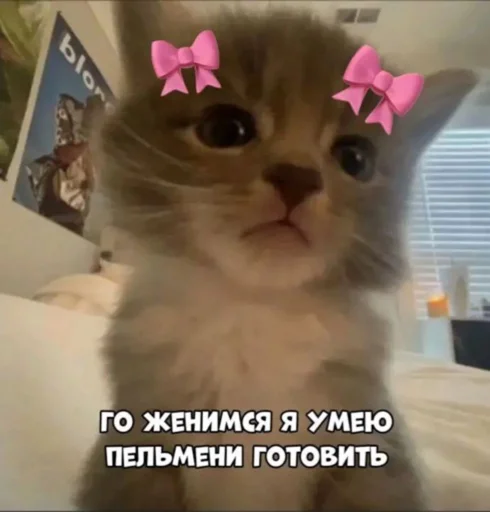 💍 Стикер «мы» для Telegram