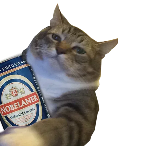 😋 Стикер «Catsrule» для Telegram
