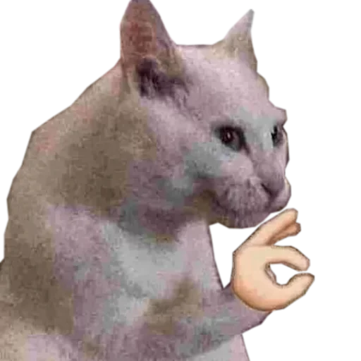 😌 Стикер «Catsrule» для Telegram