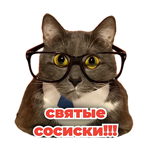 😱 Стикер «kotiynet» для Telegram