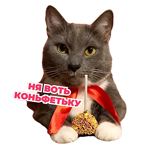 🥰 Стикер «kotiynet» для Telegram