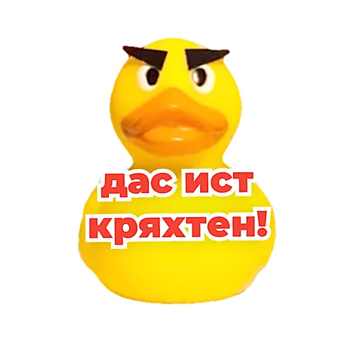 😠 Стикер «kotiynet» для Telegram