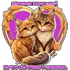 ❤️ Эмодзи «KotaLOVE» для Telegram