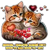 ❤️ Эмодзи «KotaLOVE» для Telegram