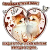 ❤️ Эмодзи «KotaLOVE» для Telegram