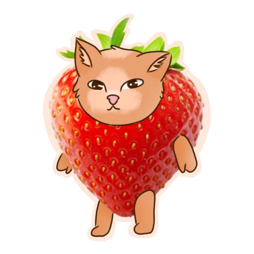 🍓 Стикер «Котик Миша» для Telegram