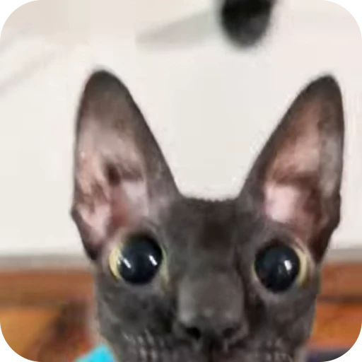 🌟 Стикер «Котомыш Ядовитый и Летучий» для Telegram