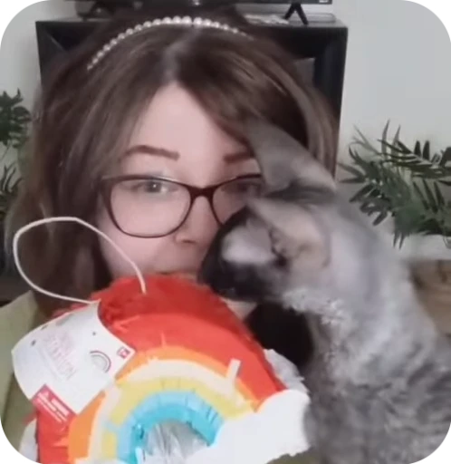 🌟 Стикер «Котомыш Ядовитый и Летучий» для Telegram