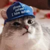 Стикер 25 Котнота