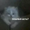 Стикер 19 Котнота