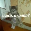 Стикер 52 Котнота