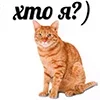 Стикер 6 Котнота