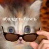 Стикер 30 Котнота