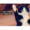 Стикер 54 Котнота