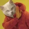 Стикер 3 Котнота