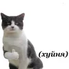 Стикер 33 Котнота